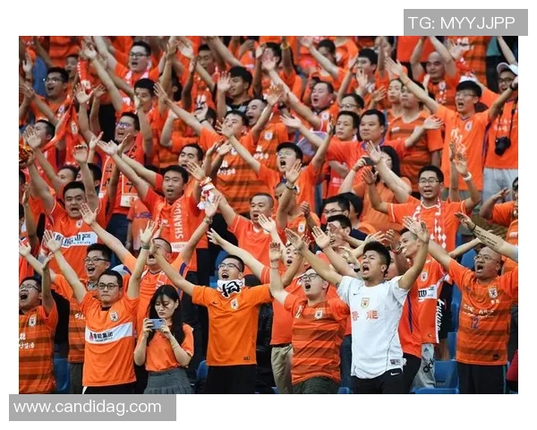 长滩岛足球热潮兴起球迷齐聚共享激情与快乐的盛宴 长滩岛足球热潮兴起球迷齐聚共享激情与快乐的盛宴