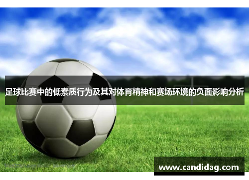 足球比赛中的低素质行为及其对体育精神和赛场环境的负面影响分析