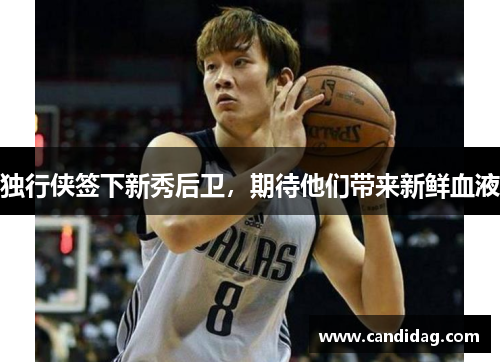 独行侠签下新秀后卫，期待他们带来新鲜血液