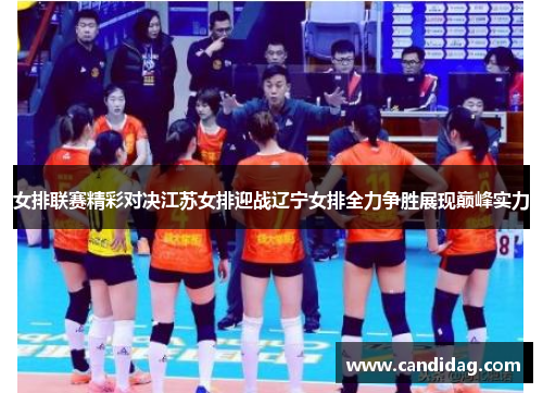 女排联赛精彩对决江苏女排迎战辽宁女排全力争胜展现巅峰实力