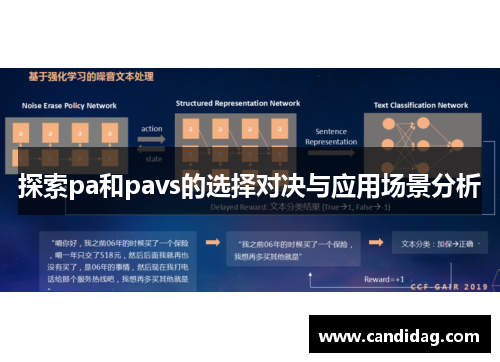 探索pa和pavs的选择对决与应用场景分析