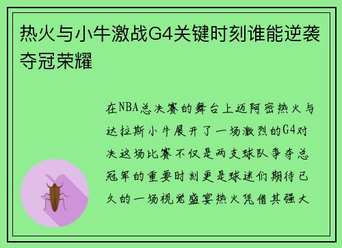 热火与小牛激战G4关键时刻谁能逆袭夺冠荣耀