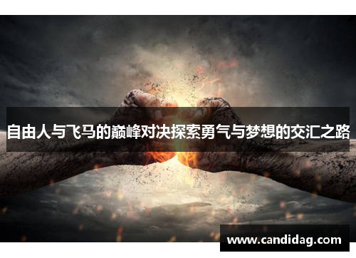 自由人与飞马的巅峰对决探索勇气与梦想的交汇之路