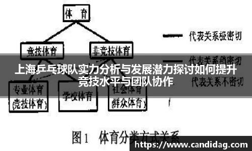 上海乒乓球队实力分析与发展潜力探讨如何提升竞技水平与团队协作